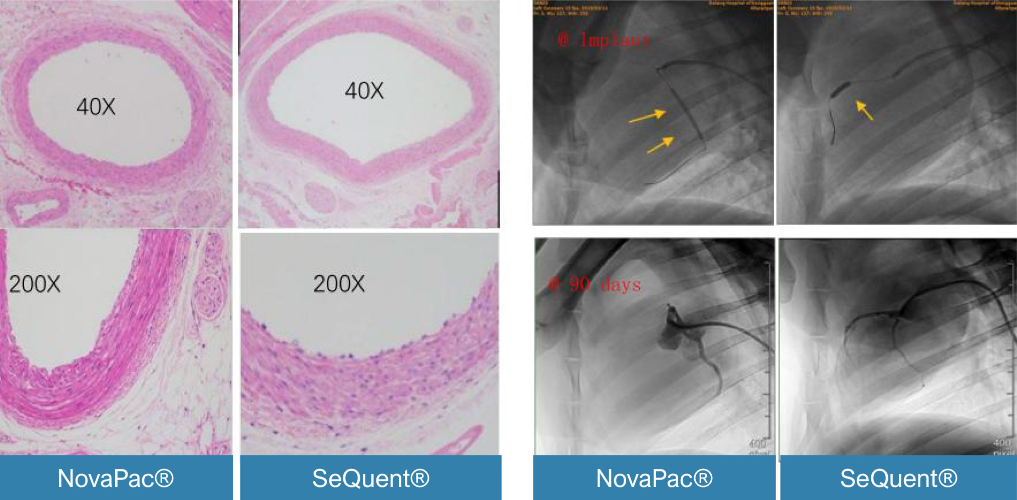 Evidence-Driven-Device-Safety-and-Efficacy Evidence-Driven-Device-Safety-and-Efficacy