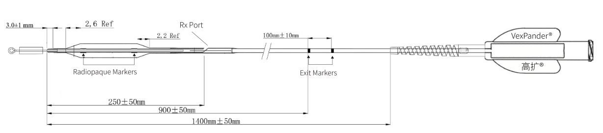 Paclitaxel-Coated-PTCA-Balloon-Catheter.1 Paclitaxel-Coated-PTCA-Balloon-Catheter.1