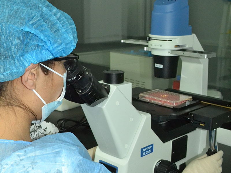 Likang Xiangyun Biotechnology