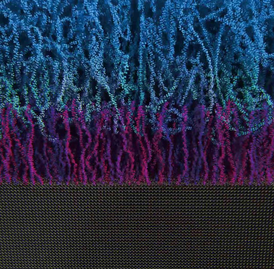 Drug Coated Coronary Stent System (6)