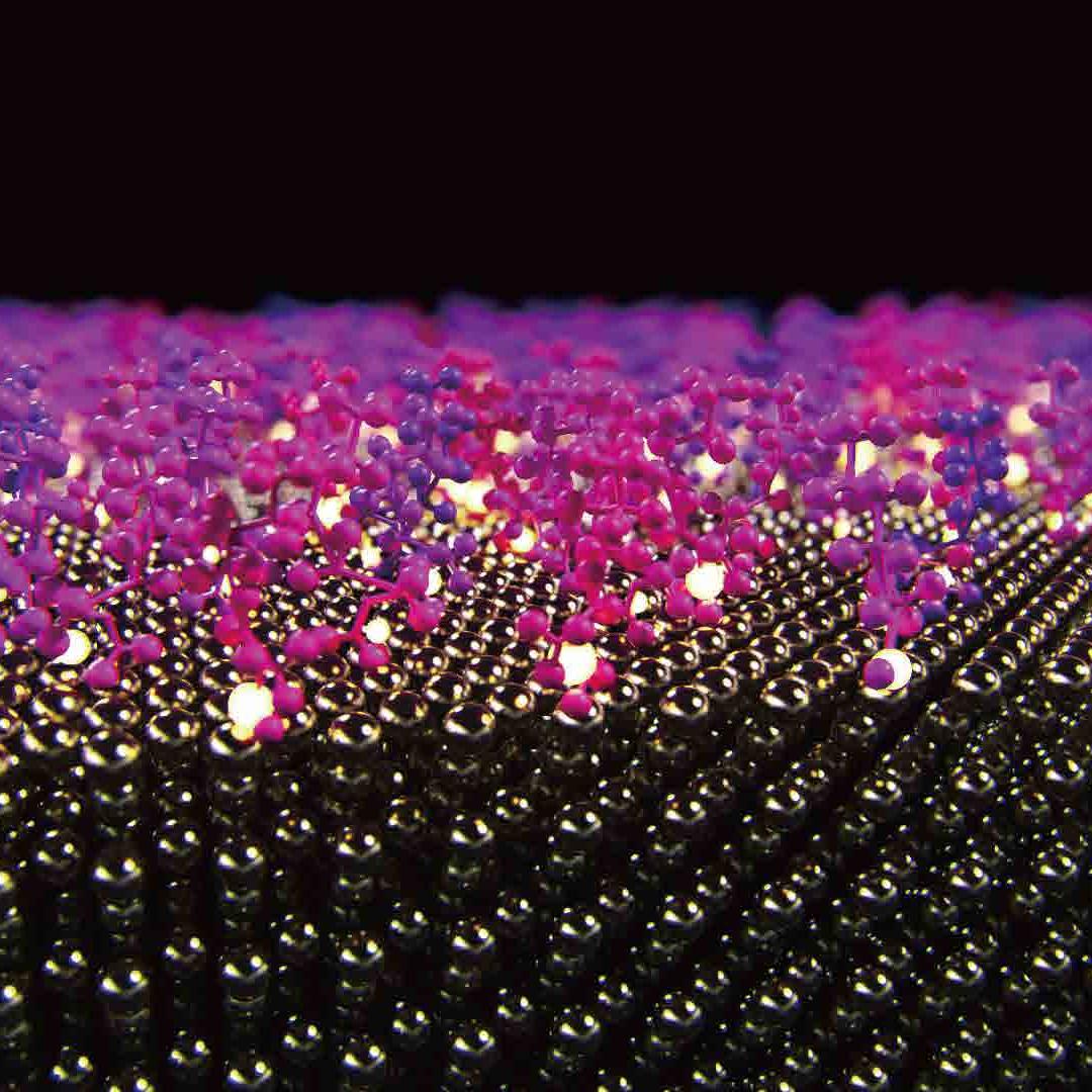 Drug Coated Coronary Stent System (4)