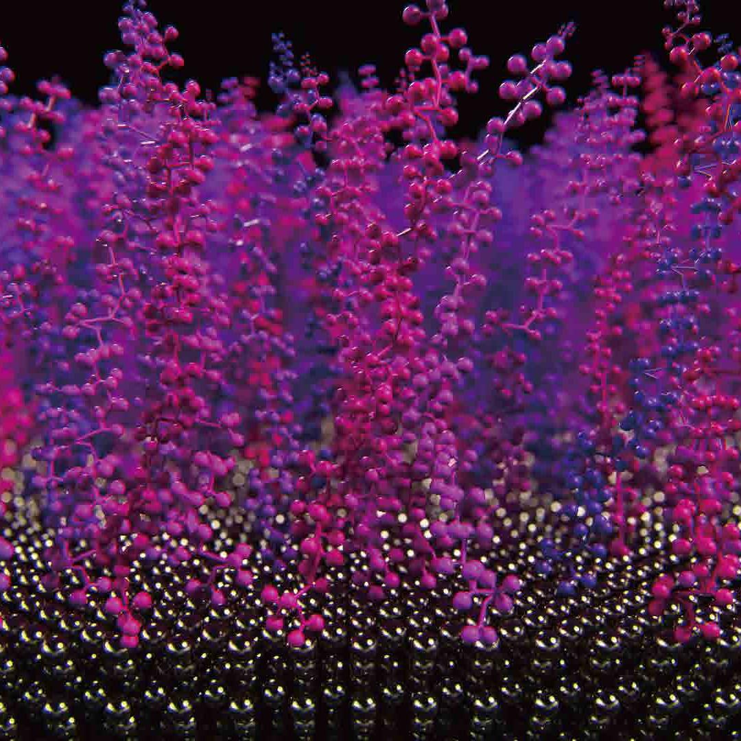 Drug Coated Coronary Stent System (5)