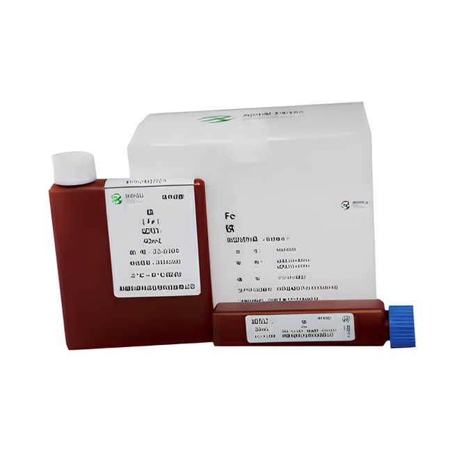 Diagnostic Fe Iron Assay Kit